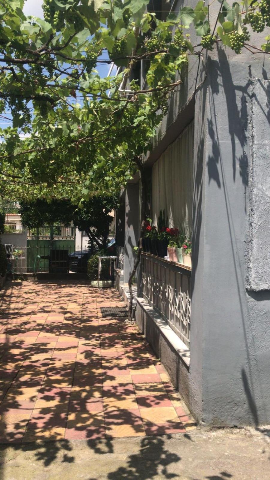 Green Door House Тирана Экстерьер фото